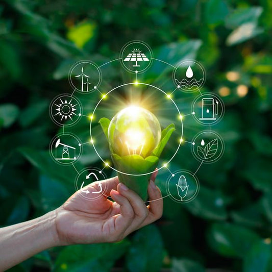 Effortless Energy Savings with Smart Plugs: A Sustainable Home Upgrade